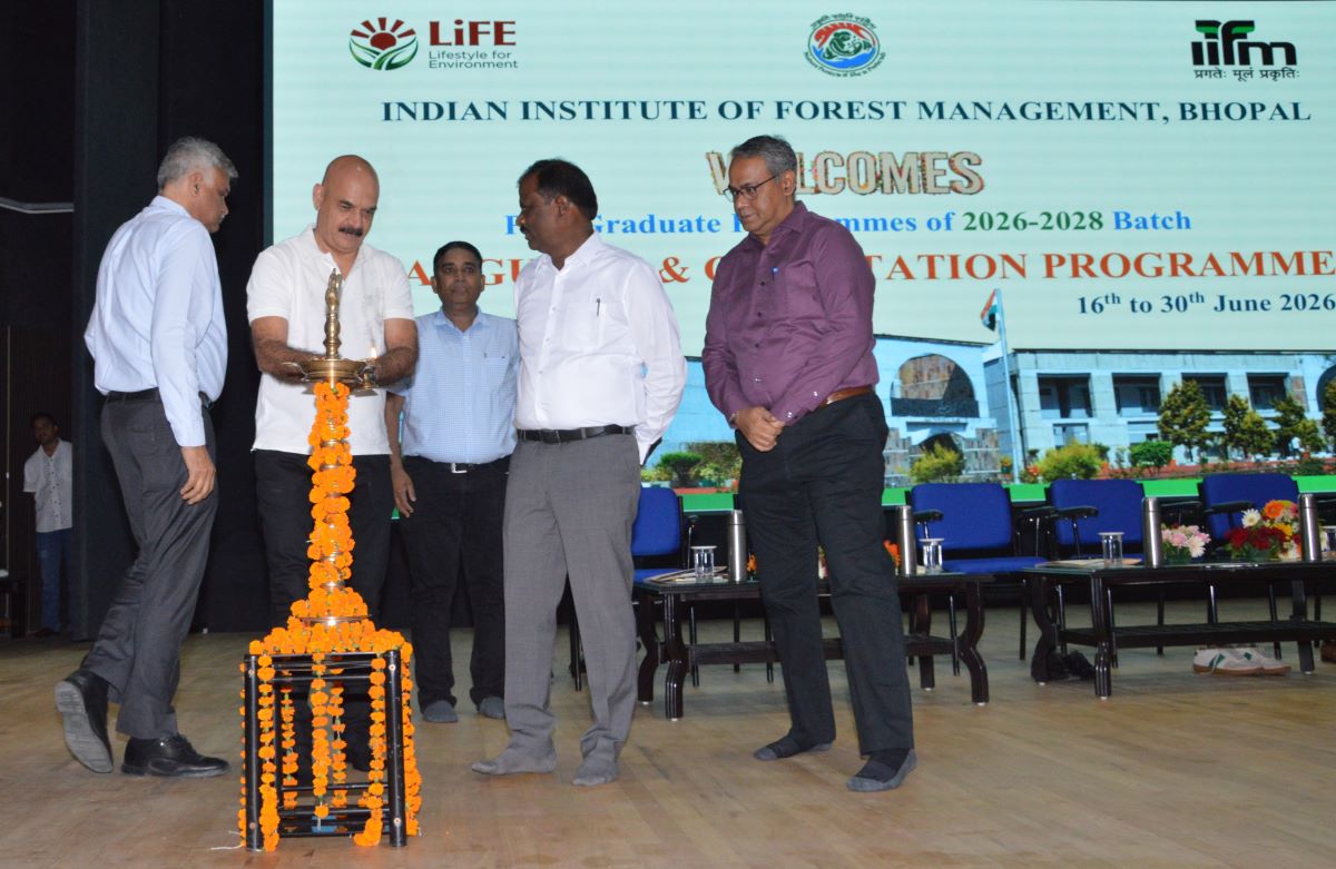 Lighting of Lamp