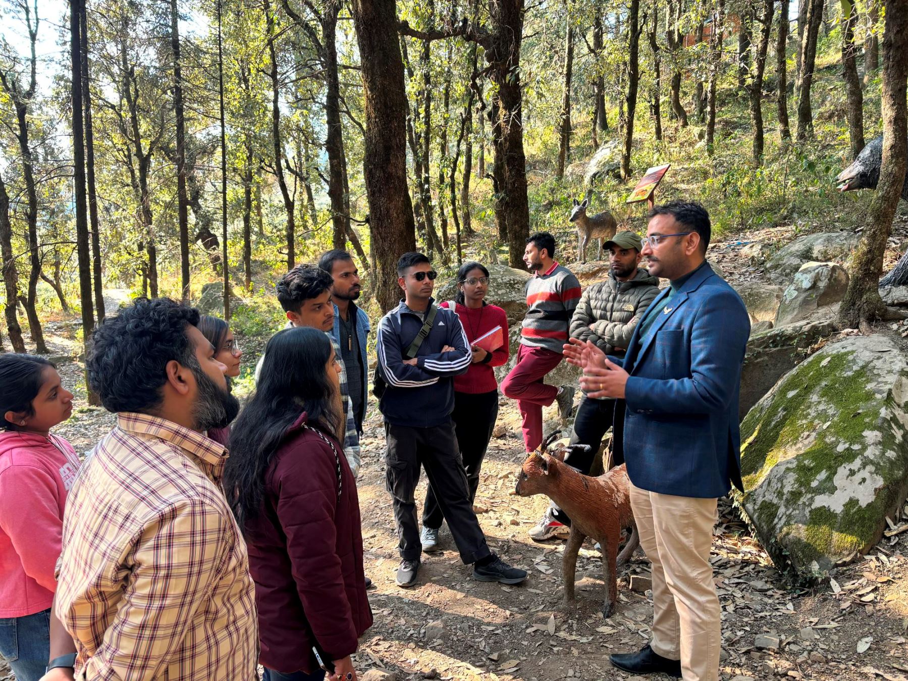 Fieldwork Himachal Pradesh Forest