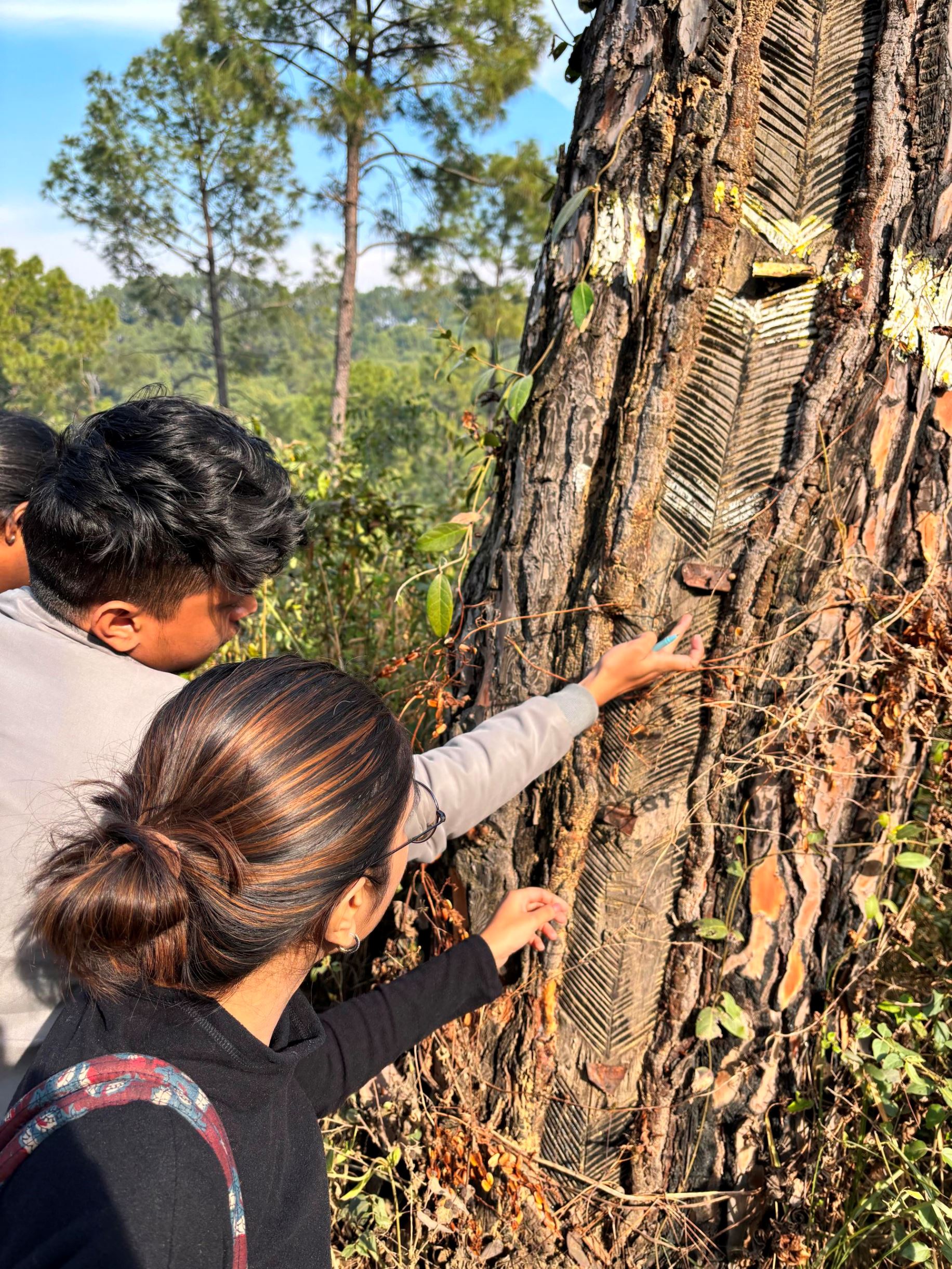 Fieldwork Himachal Pradesh Group I