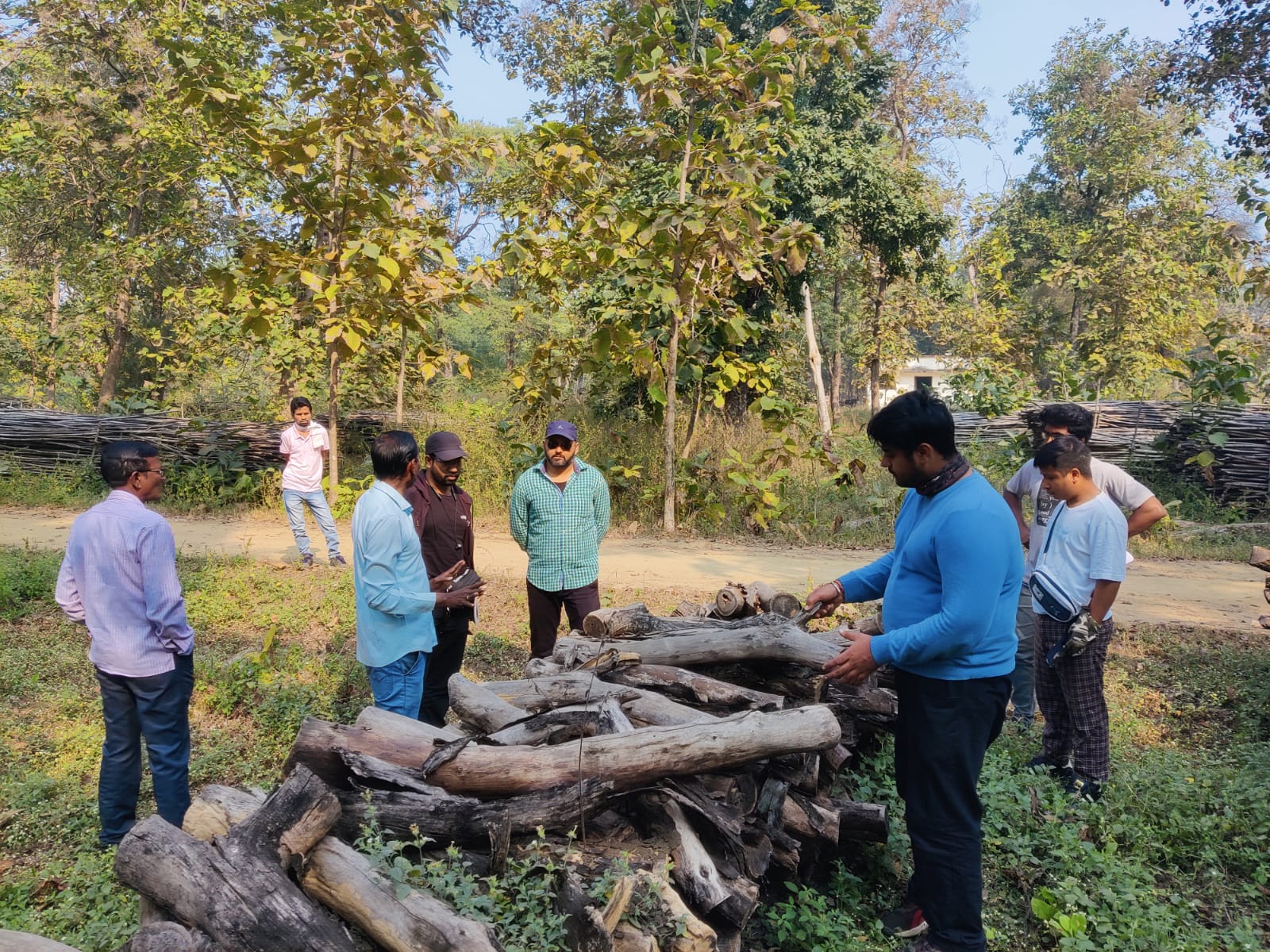 Fieldwork Maharashtra wooden logs