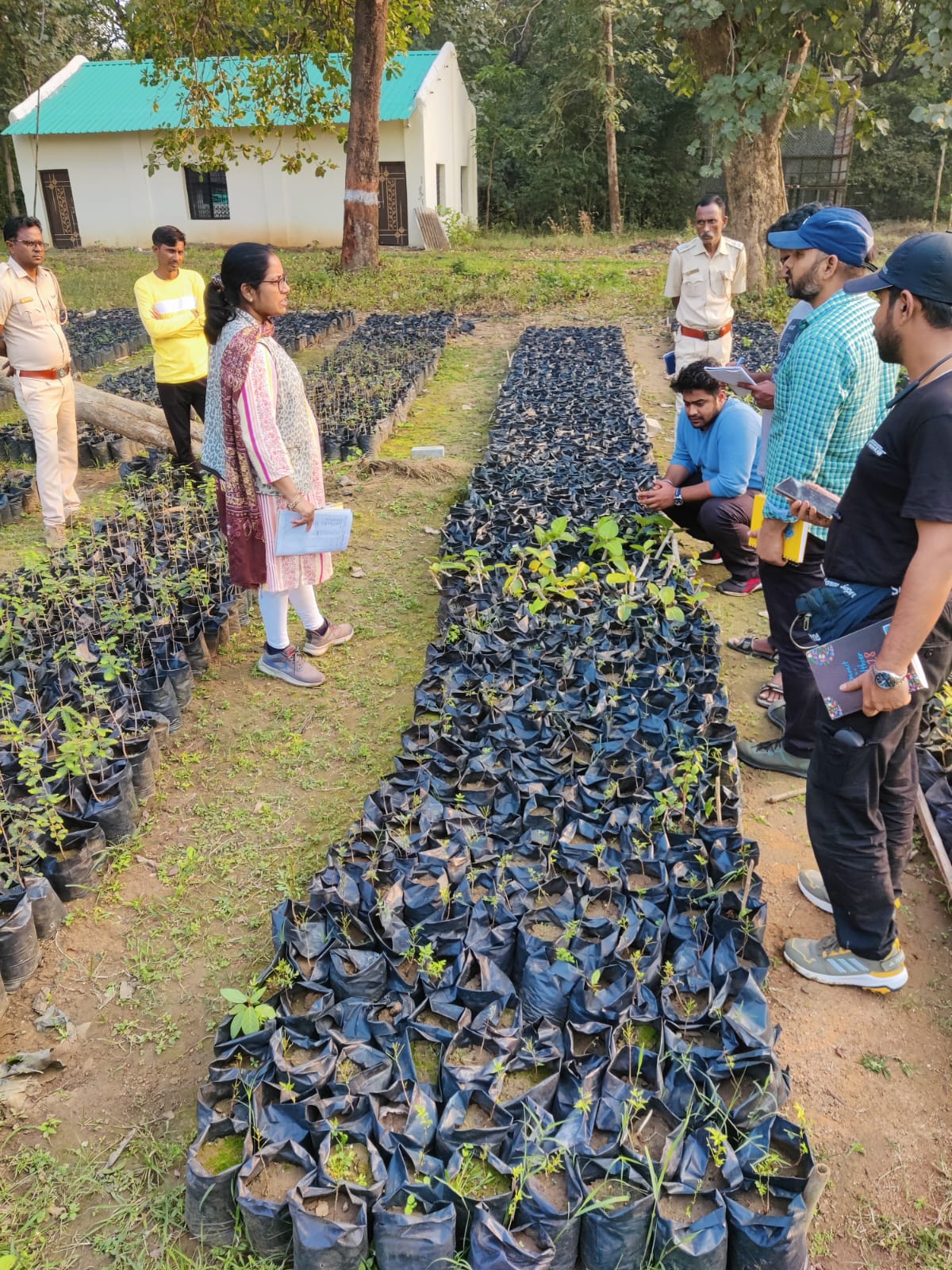 Fieldwork Maharashtra Nursery