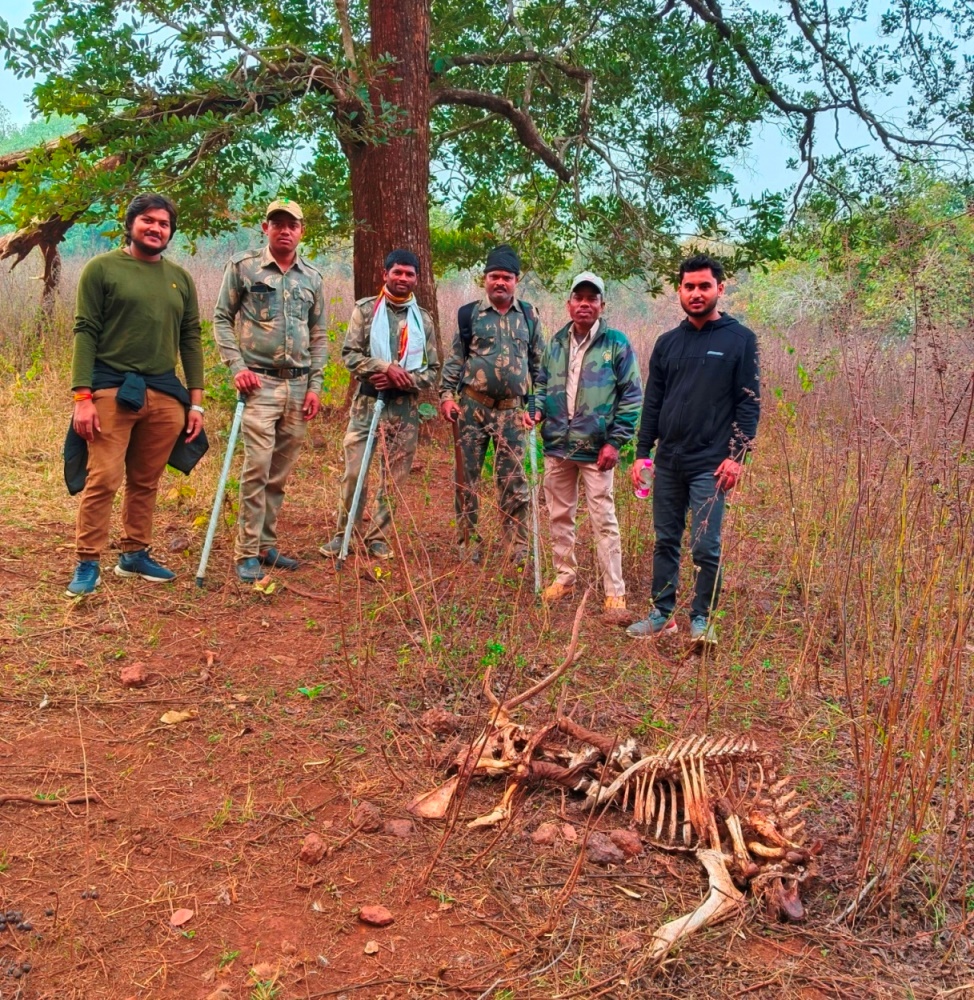 Fieldwork MP Forest Guards