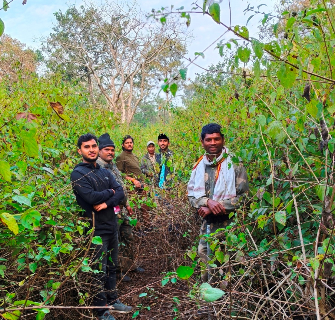 Fieldwork MP Dense Forest Vegetation