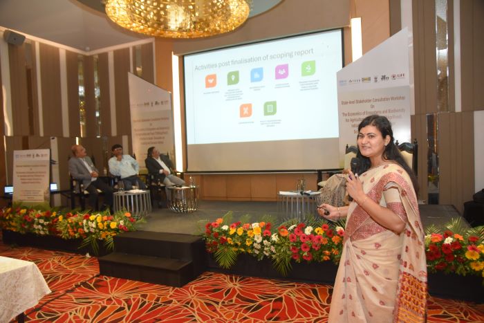 Session during the Workshop