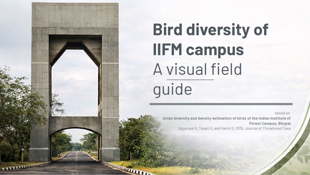 Birds of IIFM
